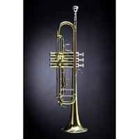 Vincent Bach TR501 Bb trompet 122.24 mm (gelakt) met tas - thumbnail