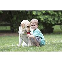 Hondenspeelgoed rubber extra large rood Kong - Kong - thumbnail