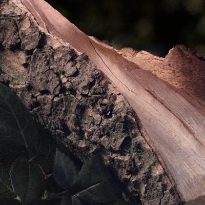 Chloe By Chloe Naturelle Eau de parfum Spray 50 ml Dames