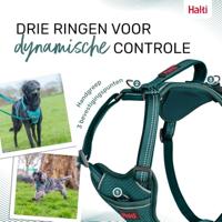 Hondentuigje Company of Animals Turkoois S 28-42 cm - thumbnail