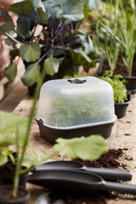 Elho green basics kweektray small living black - thumbnail