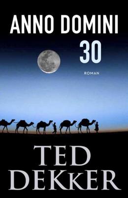 Anno Domini 30 (Paperback)