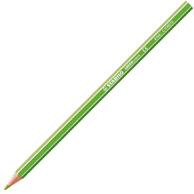 Stabilo greencolors kleurpotloden arty etui 12 stuks Stabilo greencolors kleurpotloden arty etui 12 stuks