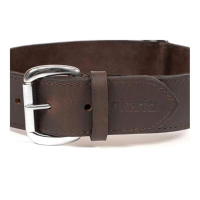 Hondenhalsband Gloria Bruin (80 x 4 cm)