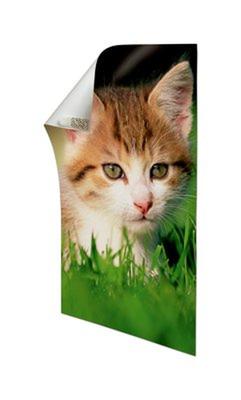 Command posterstrip, small, draagvermogen 225 gram, wit, blister van 12 stuks Command posterstrip, small, draagvermogen 225 gram, wit, blister van 12 stuks