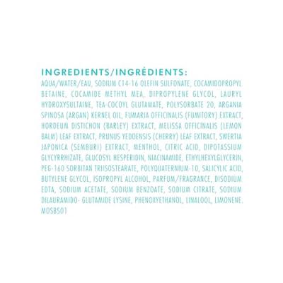 Moroccanoil Scalp Balancing Shampoo 250ml