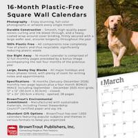 Labrador Retriever Blond Kalender 2026 - thumbnail