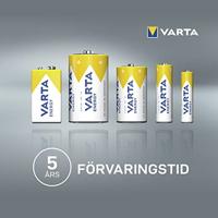 Varta ENERGY AA Value Pack 10 AA batterij (penlite) Alkaline 2800 mAh 1.5 V 10 stuk(s) - thumbnail