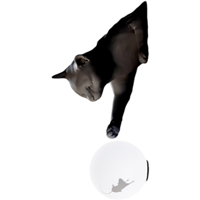 Karman - Maoo Wandlamp - thumbnail