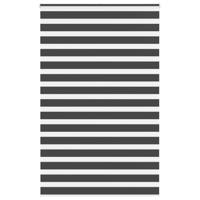 VidaXL Zebra rolgordijn 150x230 cm stofbreedte 145,9 cm zwart - thumbnail