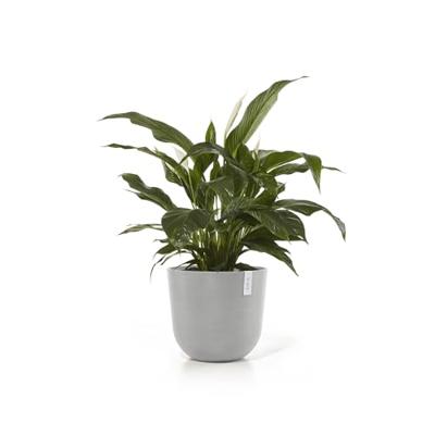 Ecopots Oslo kunststof bloempot Wit/Grijs - Ø 42,8 cm Ecopots Oslo kunststof bloempot Wit/Grijs - Ø 42,8 cm