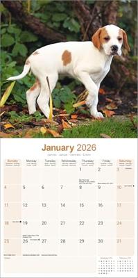 Pointer Kalender 2026 Pointer Kalender 2026