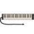 Hammond Melodion PRO-44HP v2 melodica - thumbnail