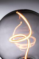 Paulmann 29238 LED-lamp E27 Globe 4 W Barnsteen (Ø x h) 125 mm x 164 mm 1 stuk(s) - thumbnail