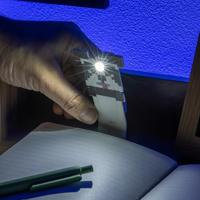 Minecraft Book Light Panda - thumbnail