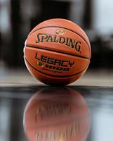 Spalding Basketbal TF1000 Legacy Official Game Ball - thumbnail