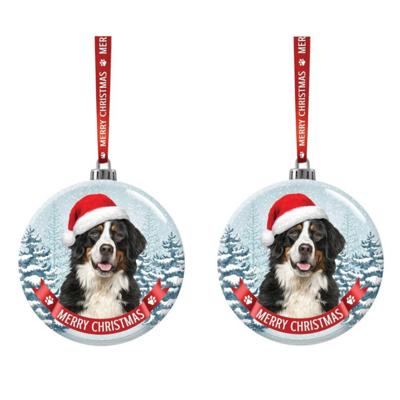 Set Van 2x Stuks Glazen Kerstballen Hond Berner Sennen 7 Cm - Kerstbal