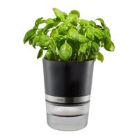 GEFU Botanico Kruidenpot - thumbnail