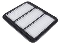 Luchtfilter voor bouwjaren vanaf 06-2006 ADG02272 - thumbnail