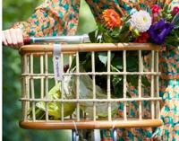 Basil green life - rotan fietsmand - large - voorop- natural bruin - thumbnail