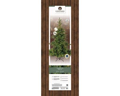 Grandis fir kunstkerstboom prelit verlicht dia. 172-H270 cm groen/warm wit Everlands - Everlands Grandis fir kunstkerstboom prelit verlicht dia. 172-H270 cm groen/warm wit Everlands - Everlands