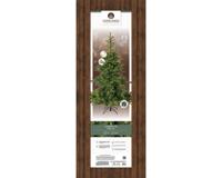 Grandis fir kunstkerstboom prelit verlicht dia. 172-H270 cm groen/warm wit Everlands - Everlands - thumbnail