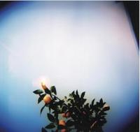 Holga 120N rolfilm camera optical glas lens - thumbnail