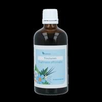 Balancepharma Euphrasia officinalis tincturen 100 Milliliter - thumbnail