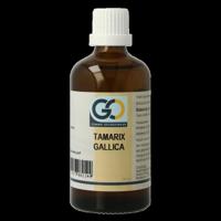 GO Tamarix gallica bio 100 Milliliter - thumbnail