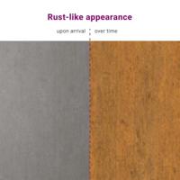 VidaXL Privacyscherm grijs 100 x 50 x 180 cm cortenstaal - thumbnail