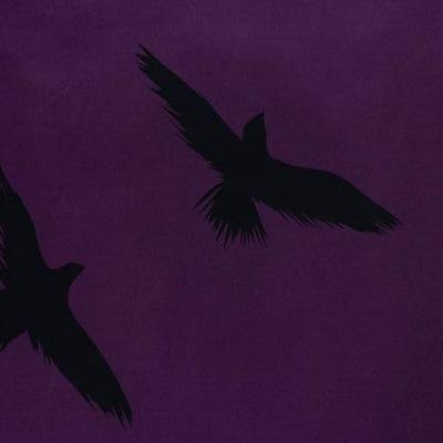 Wednesday Dekbedovertrek - Raven - 140 x 200 cm (70 x 90 cm) - polyester Wednesday Dekbedovertrek - Raven - 140 x 200 cm (70 x 90 cm) - polyester