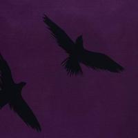 Wednesday Dekbedovertrek - Raven - 140 x 200 cm (70 x 90 cm) - polyester - thumbnail