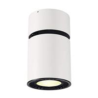 SLV 1003286 Plafondspot 36 W Wit - thumbnail