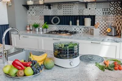 - Steba ED4 - Elektrische Droogautomaat - Ø24cm - 5 lagen