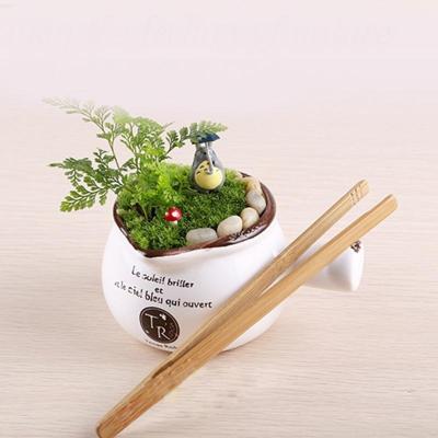 Bamboe rechte pincetten planten schoonmaak Tool Moss Micro-landschap maken Tools bamboe Product planten pincet lengte: 18cm Bamboe rechte pincetten planten schoonmaak Tool Moss Micro-landschap maken Tools bamboe Product planten pincet lengte: 18cm
