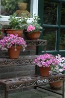 Rechthoekige etagère / Esschert Design - thumbnail