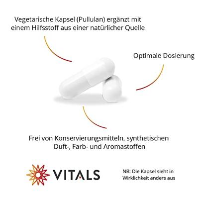 Acetyl-L-carnitine 500 mg - thumbnail