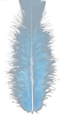 Zakje met 50 veertjes blauw