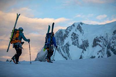 Lowepro Powder Backpack 500 AW Rugzak Grijs, Oranje