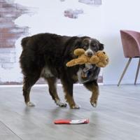 KONG COMFORT PUPS GOLDIE 33X15X11,5 CM - thumbnail