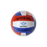 Engelhart Volleybal official size maat 5 - thumbnail