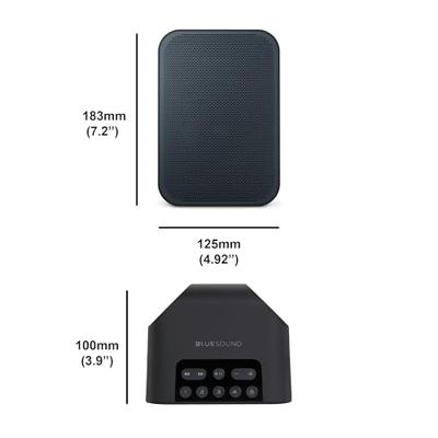 Bluesound Pulse Flex 2i - Draadloze Luidspreker - Zwart