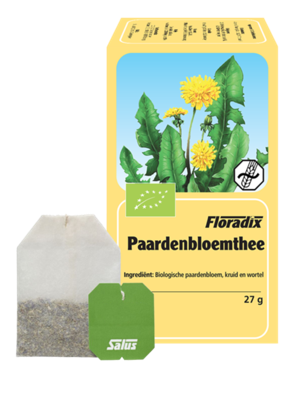 Floradix Paardenbloem Thee 15 zakjes