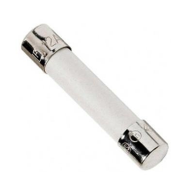 Aquaforte Zekering 3A voor TMC PRO CLEAR 30/55W | Vijver UV-C Bescherming