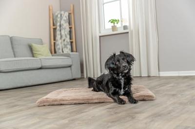 Trixie ligmat lonni ribfluweel lichtbruin