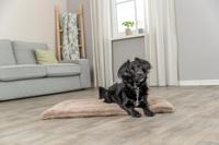 Trixie ligmat lonni ribfluweel lichtbruin - thumbnail