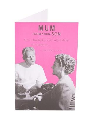 Gelderse roos op stam