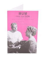 Gelderse roos op stam - thumbnail