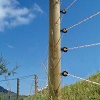 Gallagher TurboLine cord wit 200m - 057856 057856 - thumbnail