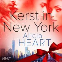 Kerst in New York - erotisch verhaal - thumbnail